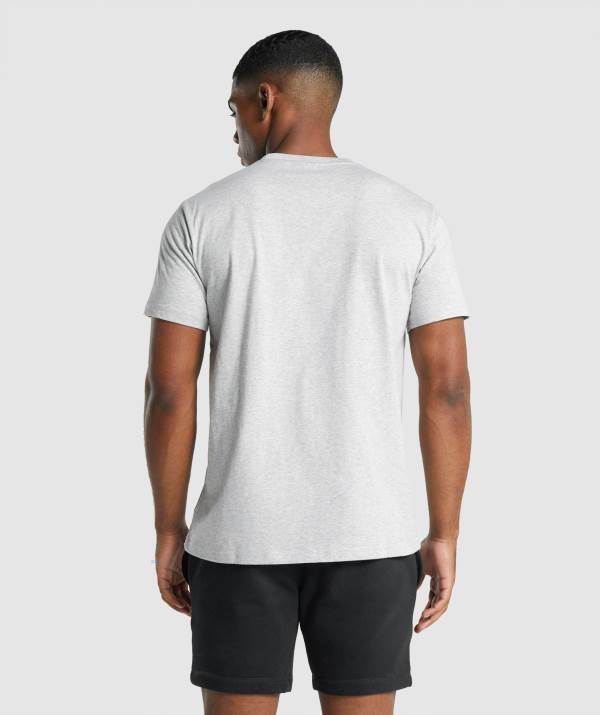 Panske Tricka Gymshark Crest Svetlo Siva | UW3958740